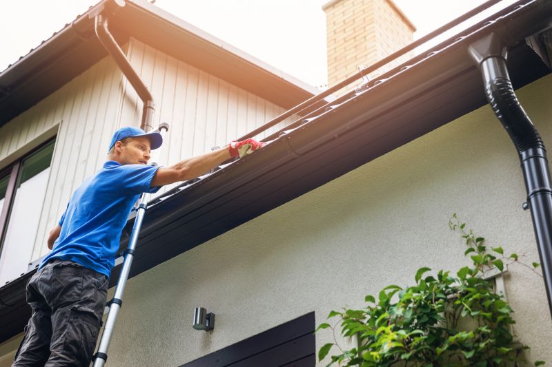 Local Austin Gutter Specialists